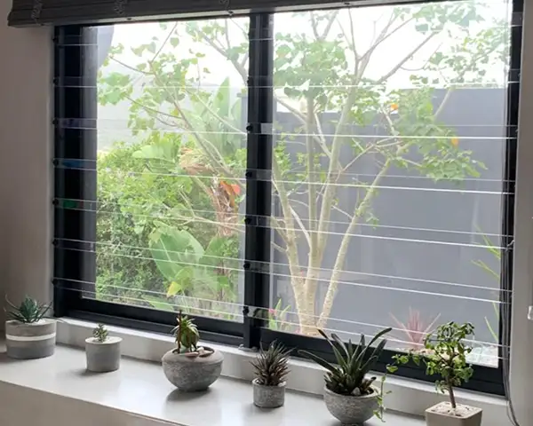 Clear Burglar Bars - window with pot plans